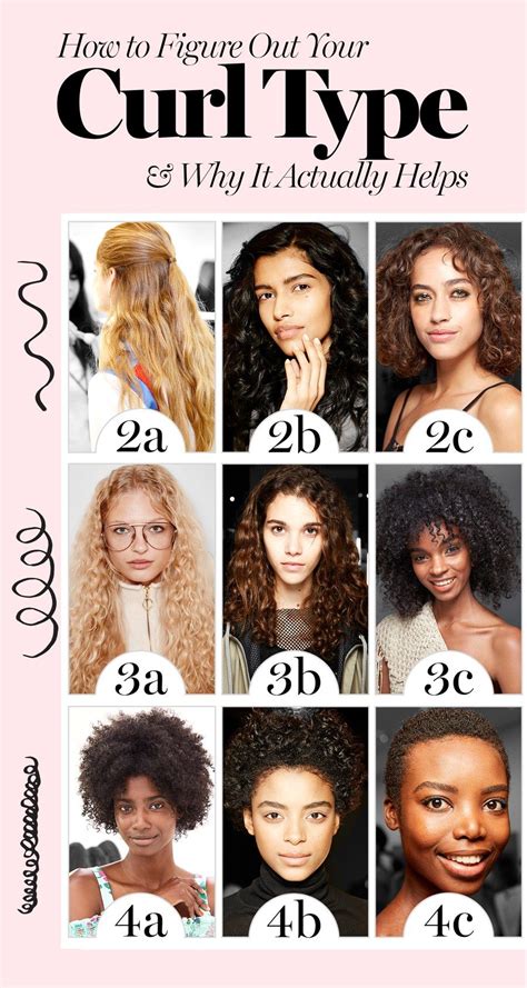Curly Hair Type Chart Icon