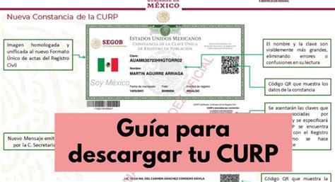 Guía Para Consultar Tu Curp De Manera Gratuita Por Internet