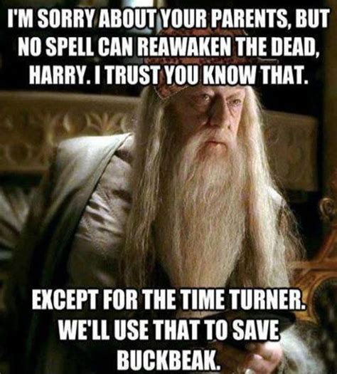 38 Harry Potter Jokes That Are So Bad Theyre Good