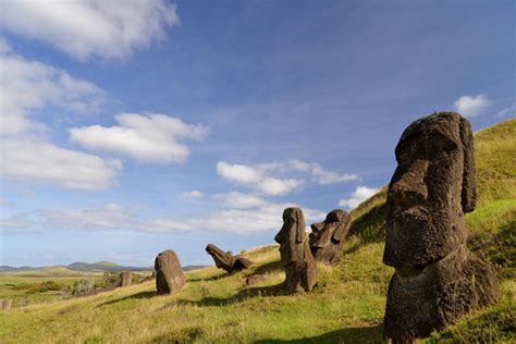32,058 likes · 1,601 talking about this · 59 were here. Research reveals Rapa Nui people cultivated and managed ...
