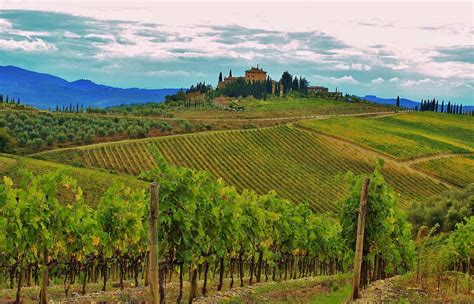 Best Destinations For Wine Tasting Pre Tend Be Curious Travel