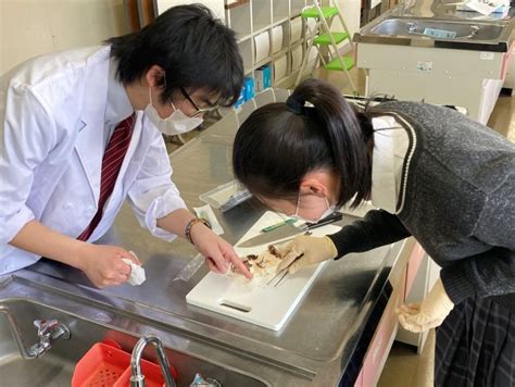 Check spelling or type a new query. 20210310today - ノースアジア大学 明桜高校