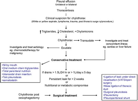 Management Pathway Of Chylothorax Vats Video Assisted Thoracoscopic