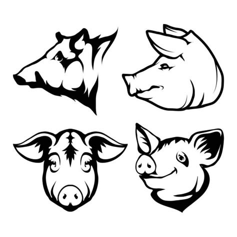 Cabeza de cerdo vector gráfico vectorial imágenes de Cabeza de cerdo