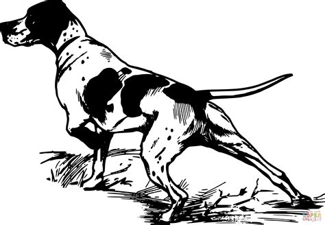 Vintage Hunting Dog coloring page | Free Printable Coloring Pages