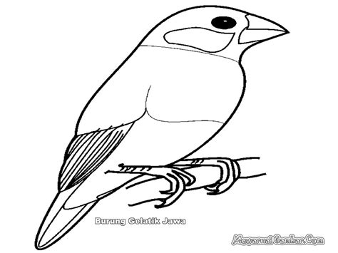 Mitosnya perkutut wisnu wicitra untuk keselamatan dan mendatangkan banyak rezeki. Kumpulan Koleksi Gambar Burung Kartun Hitam Putih | Cikimm.com