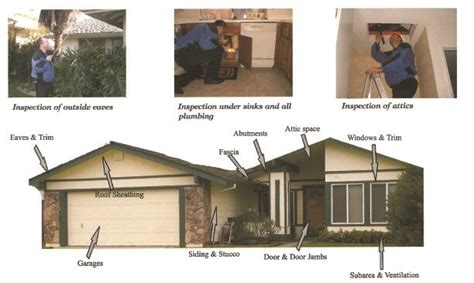 What does a pest inspection involve? Pest Control Information and Services for Realtors ...