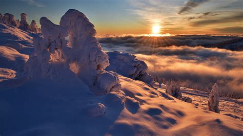 Snow Field With Fog During Sunrise Hd Winter Wallpapers Hd Wallpapers
