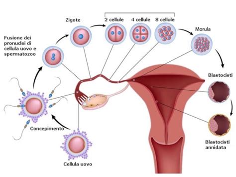 Perdite da impianto colore: come riconoscerle - Passione Mamma