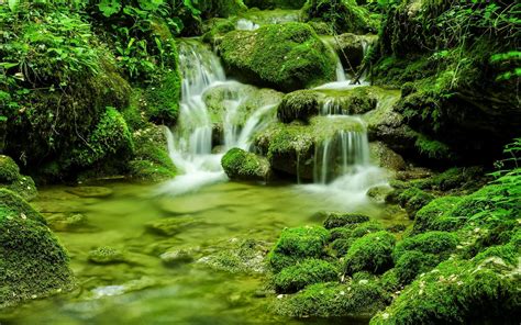 Fonds Décran Nature Paysage Mousse Pierres Ruisseau Verts Italie