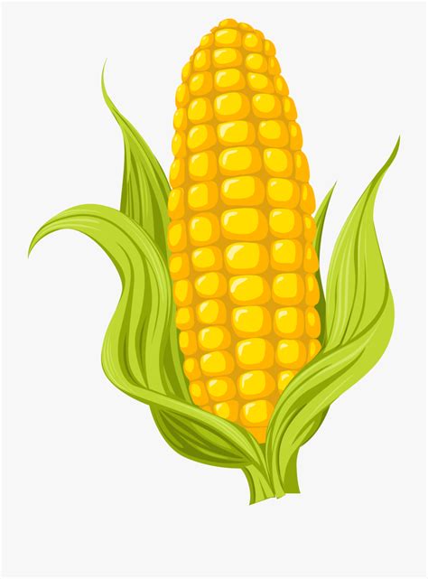 Corn clipart illustration, Corn illustration Transparent FREE for 