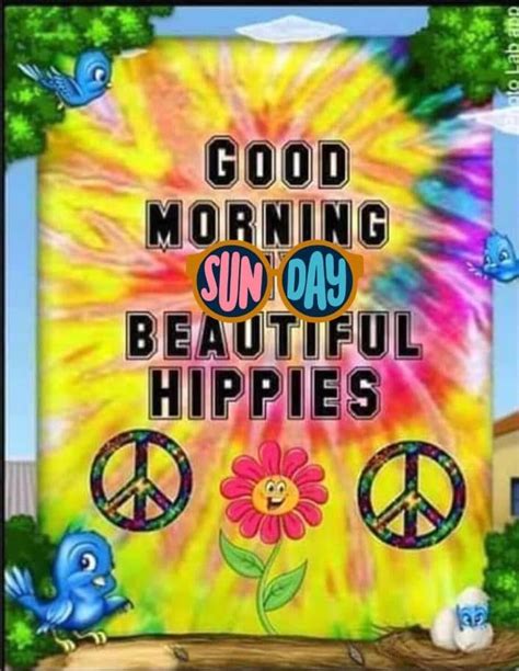 pin on peace and happy hippie sunday
