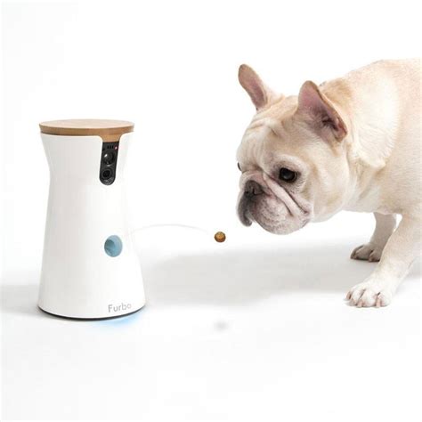 Furbo is the treat dispenser and pet camera for doting on your dog