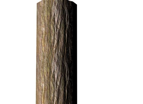 Wood Tree Stump Trunk Bark Tree Bark Png Download 1200878 Free