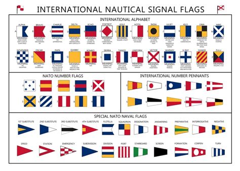 International Nautical Signal Flags Poster Paper Laminated A Tiger Moon International