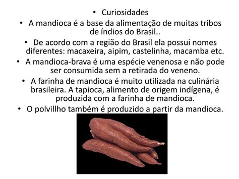 Nomes Da Mandioca Por Regiões