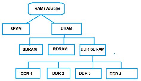 Everything You Need To Know About Ram