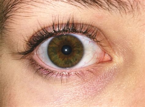 We did not find results for: Pin: @Sabrinaaashlyn ☼ | Aesthetic eyes, Hazel green eyes ...