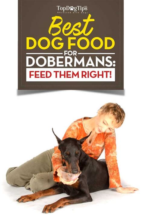 Is blue buffalo good for dobermans? Best Dog Food for Dobermans 2018: What to Feed Doberman Pinschers?