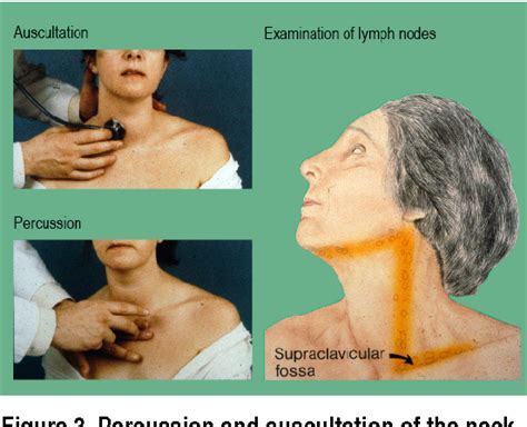 Figure 3 From Examination Of The Thyroid Gland And Thyroid Status Semantic Scholar