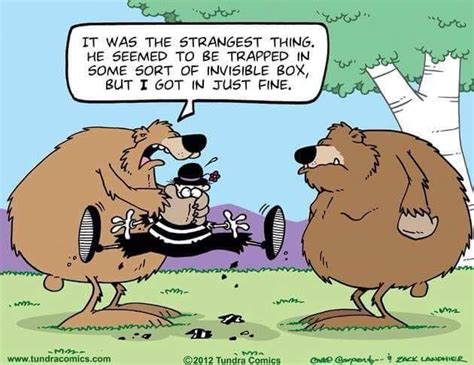 Funny Cartoon Jokes Two Bears Talking