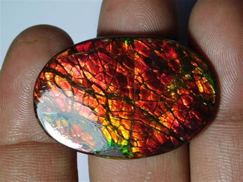 Very Rare And Beautiful Ammolite Gemstone Ammolite Cabochon Etsy