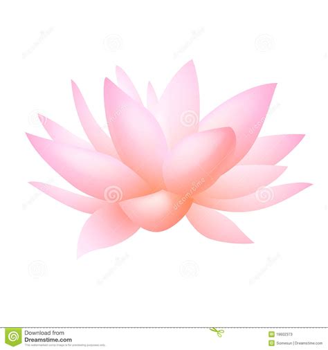 Flower Lily Water Clipart 20 Free Cliparts Download Images On