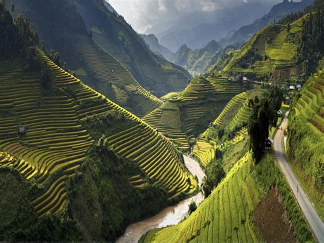 Landscape Terasasti Fields With Rice Mu Cang Chai District Yen Bai Province Vietnam 2880x1620