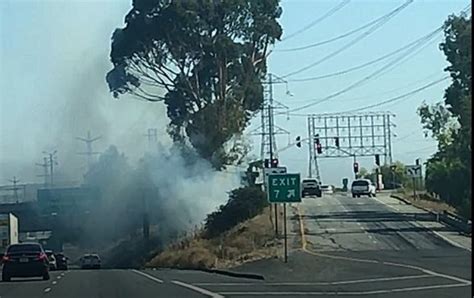 Firefighters Knock Down Two Brush Fires Along 710 Freeway • Long Beach