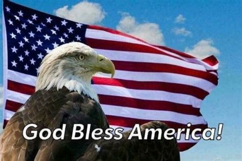 Pin By Nivla Jones On Absolutely God Bless America Bald Eagle