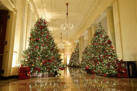 F c gyou look so beautiful in white. White House Christmas decorations 2020: 'America the ...