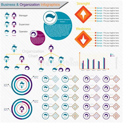 Infographics Business And Organization Chart Vector Stock Vector