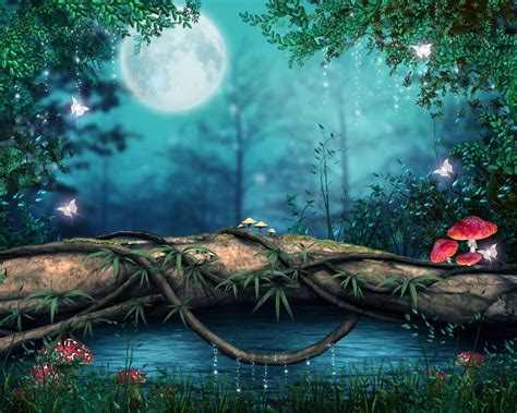 Hermosa Noche En Un Bosque Encantado 3d Ilustración De Bosque Fondos