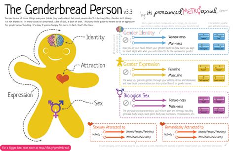 The Genderbread Person It S Pronounced Metrosexual