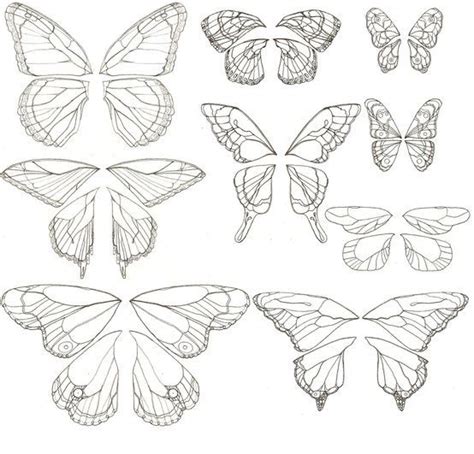 sketch butterfly wings google search butterfly drawing butterfly wings butterfly