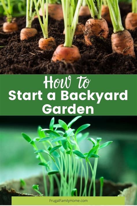 How To Start A Vegetable Garden From Scratch Beginner Backyard