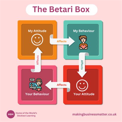 The Betari Box Exploring Attitude And Behavioural Dynamics