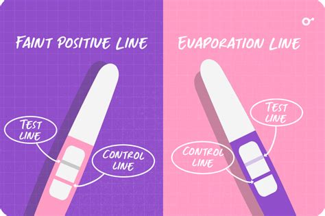 What Is An Evaporation Line On A Pregnancy Test Inito
