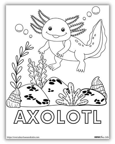 5 Free Axolotl Coloring Pages (PDF Download!)