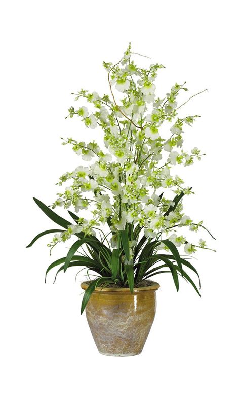 Unusual flowers most beautiful flowers pretty flowers red flowers colorful flowers orchid flowers orquideas cymbidium orchidaceae pansies. Triple Dancing Lady Silk Orchid Floral Arrangement in Pot ...