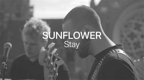 Sunflower Stay Carpet Sessions Youtube