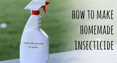 How To Make Homemade Insecticide All Natural Pesticide