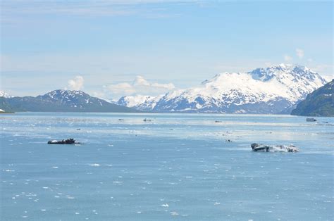 The Bluest Muse Alaska Adventures Incredible Glacier Bay National Park Plus Whales