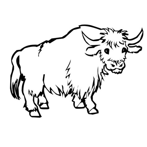 Download Yak coloring page - Animals Town - animals color sheet ...