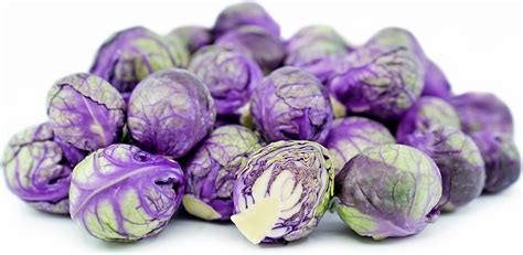 Purple Brussel Sprouts Information Recipes And Facts