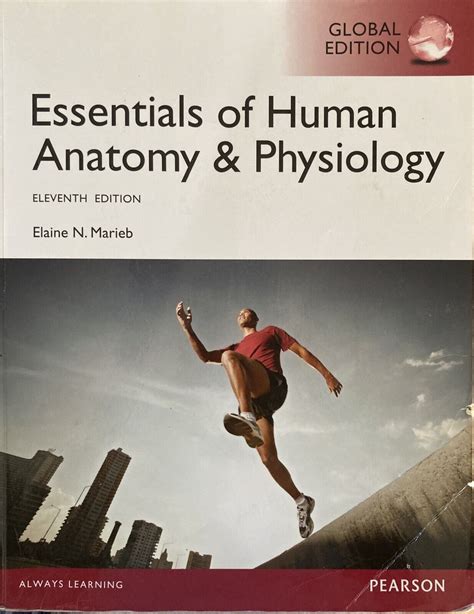 Essentials Of Anatomy And Physiology By Marieb 9781292057200 Ebay