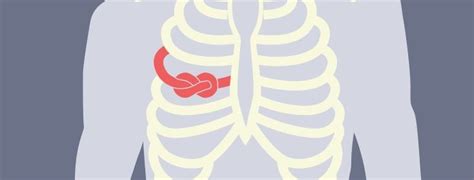 Spasm in your rib muscle is due to lack of calcium and salt in body. 328 best COPD images on Pinterest | Lunges, Lungs and Health
