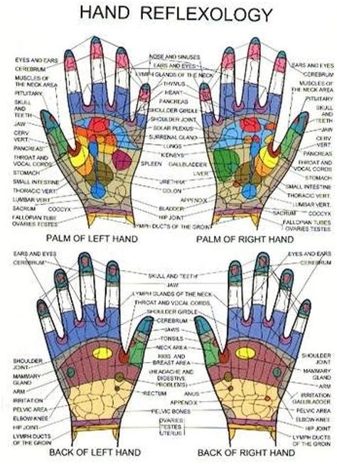 Hands On Hand Reflexology Reflexology Chart Reflexology Hand Chart My