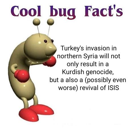 Epic Bug Facts Rcoolbugfacts