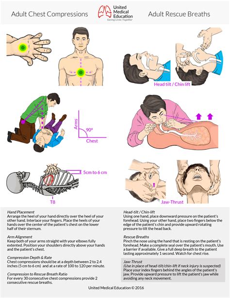 BLS Algorithms For Free Instructional Guide For Basic Life Support With Illustrated
